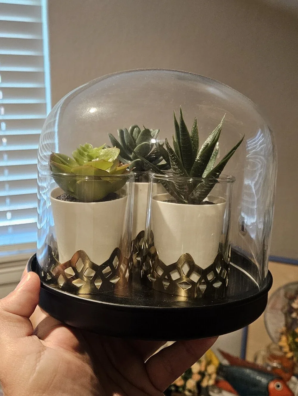 Ikea Glass Dome
